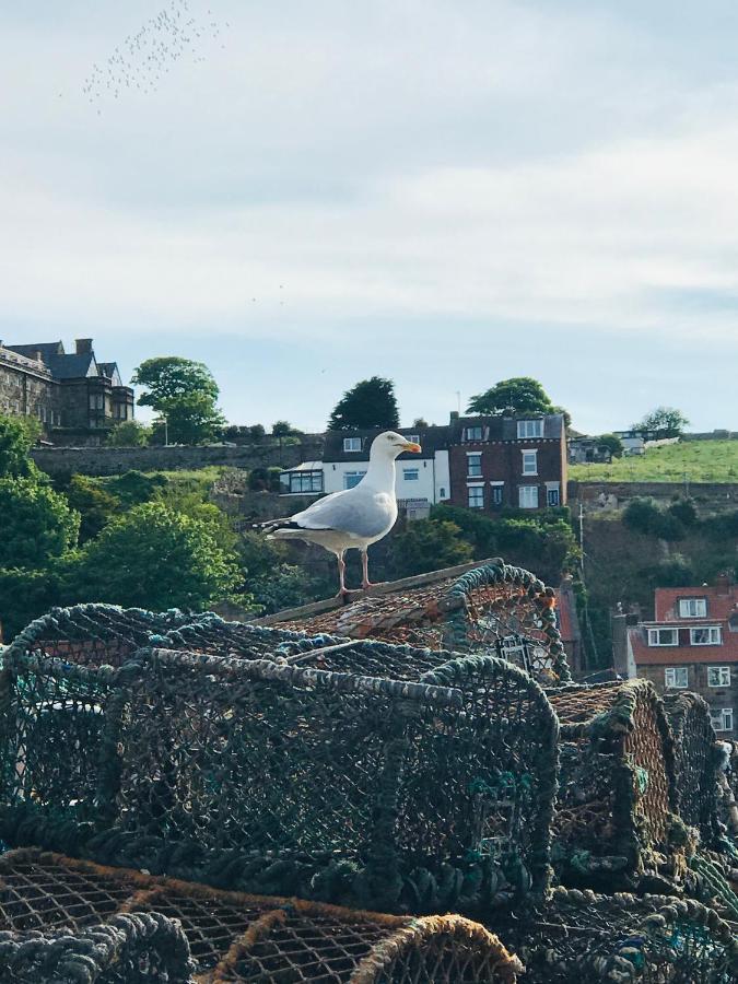 Mooredge B&B Whitby Exteriör bild